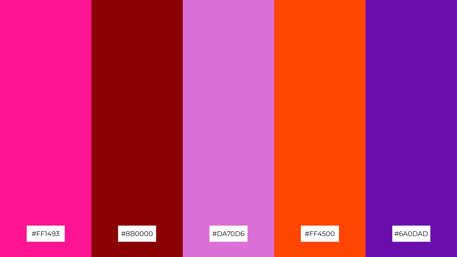 Fuchsia Fantasy