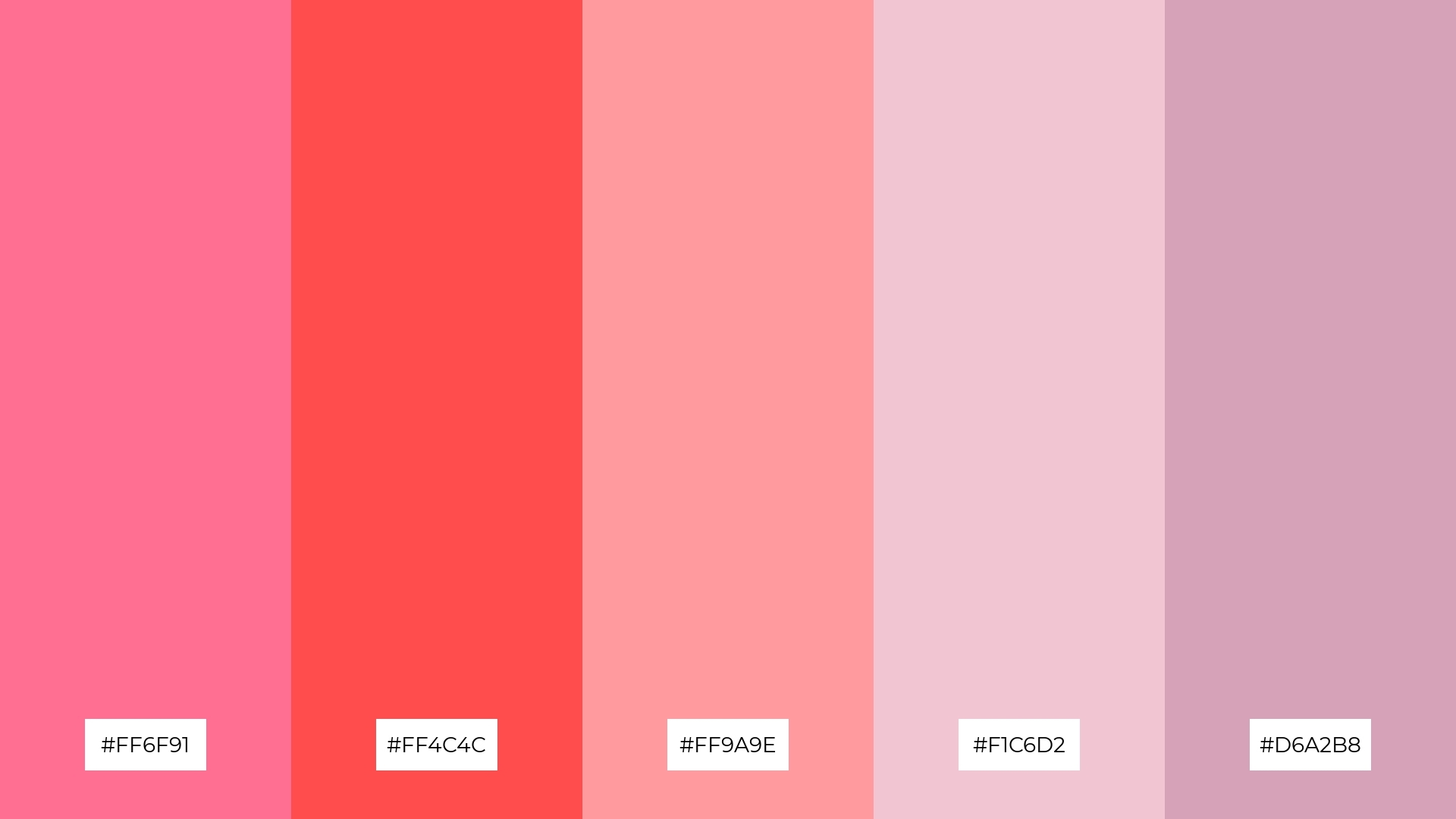 Fuchsia Fantasy