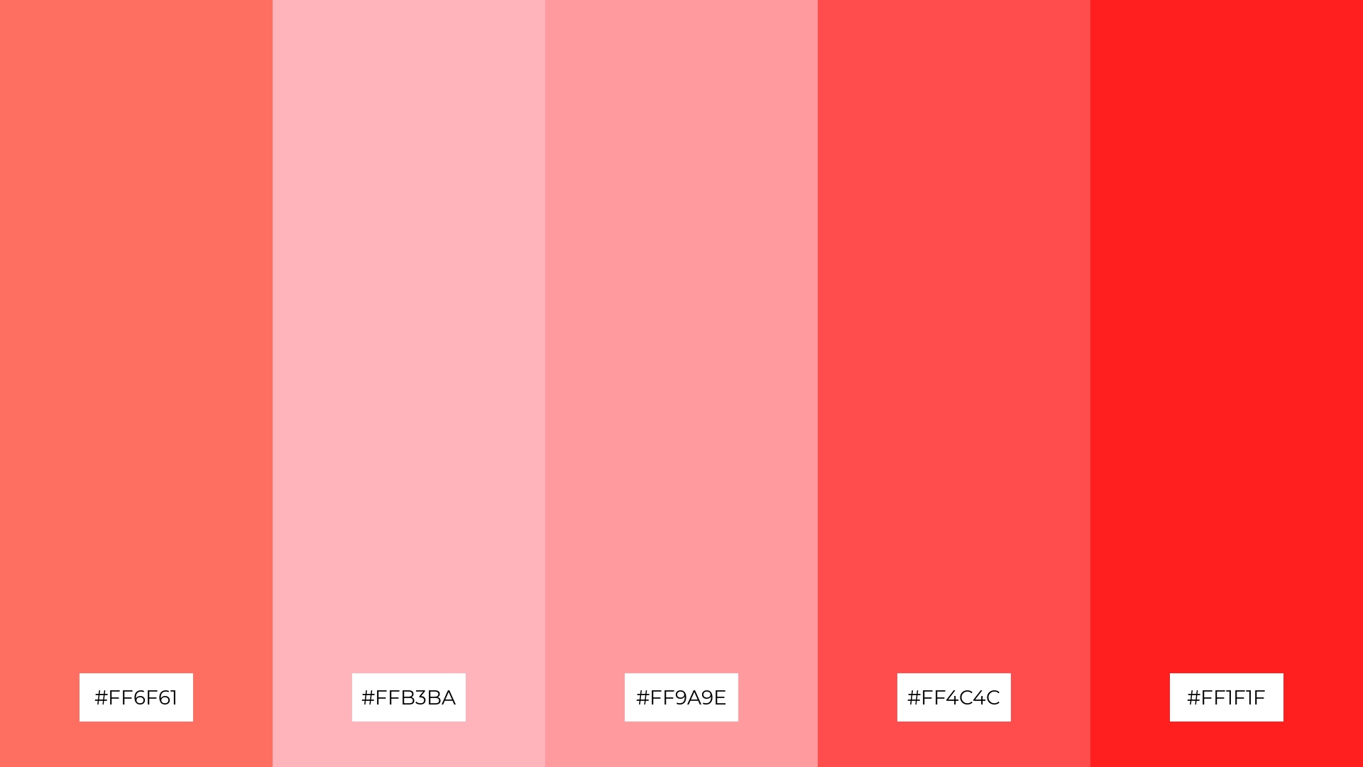 Blushing Sunset