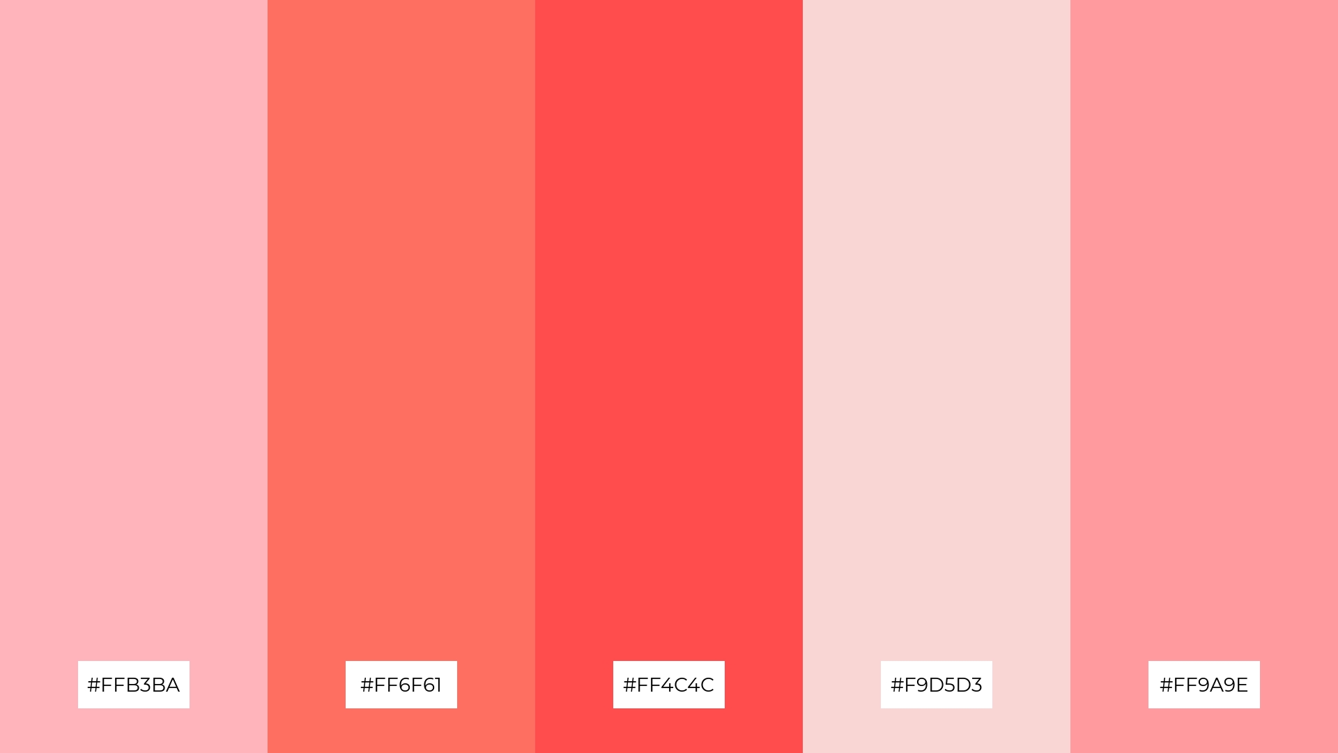 Blush and Bloom