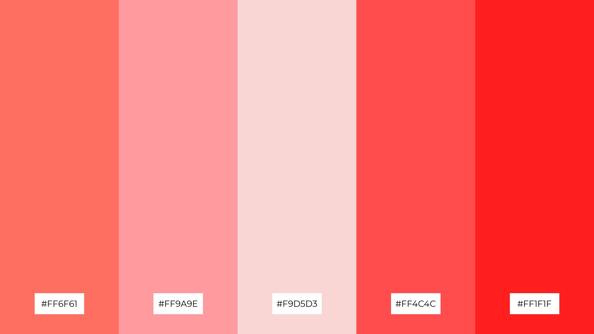 Flamingo Paradise