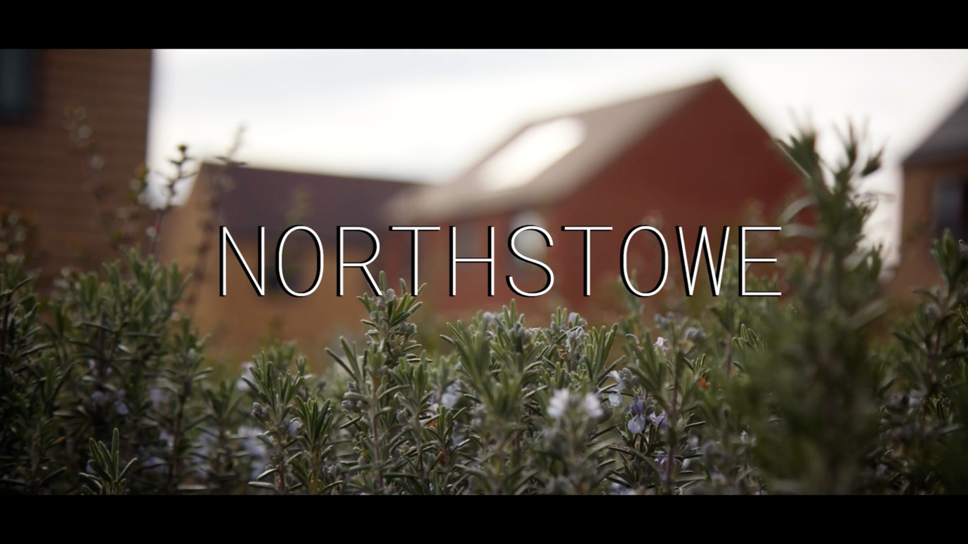 A close-up of a plantAI-generated content may be incorrect.