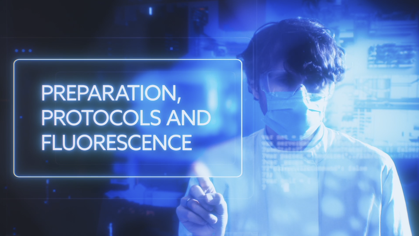Scientist in mask and glasses pointing to motion graphic text on screen as part of science how-to film.