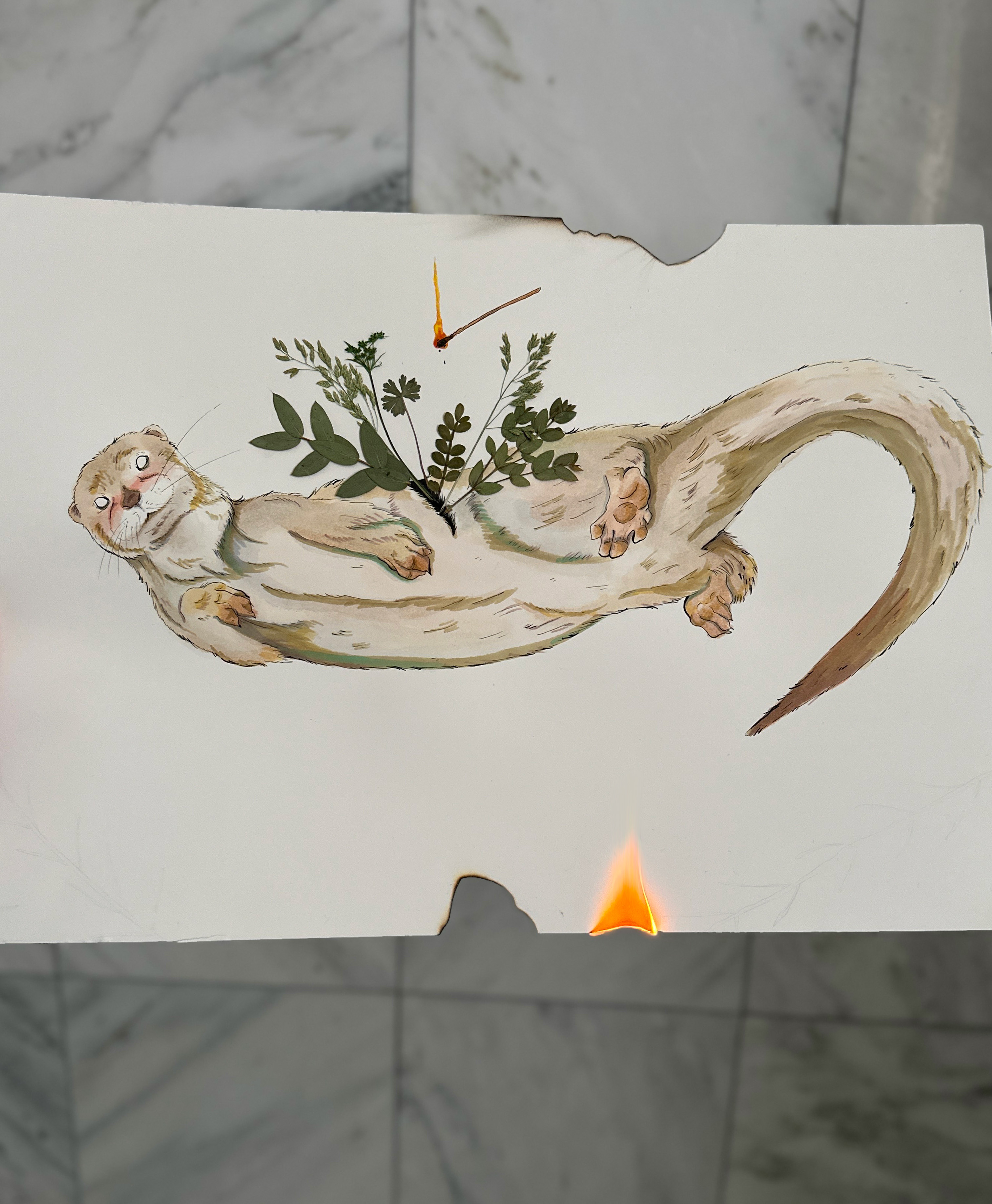 Watercolor and ink drawing of an otter swimming with dried leaves coming out from its back. an illustrated match lies above it. The paper itself is on fire.