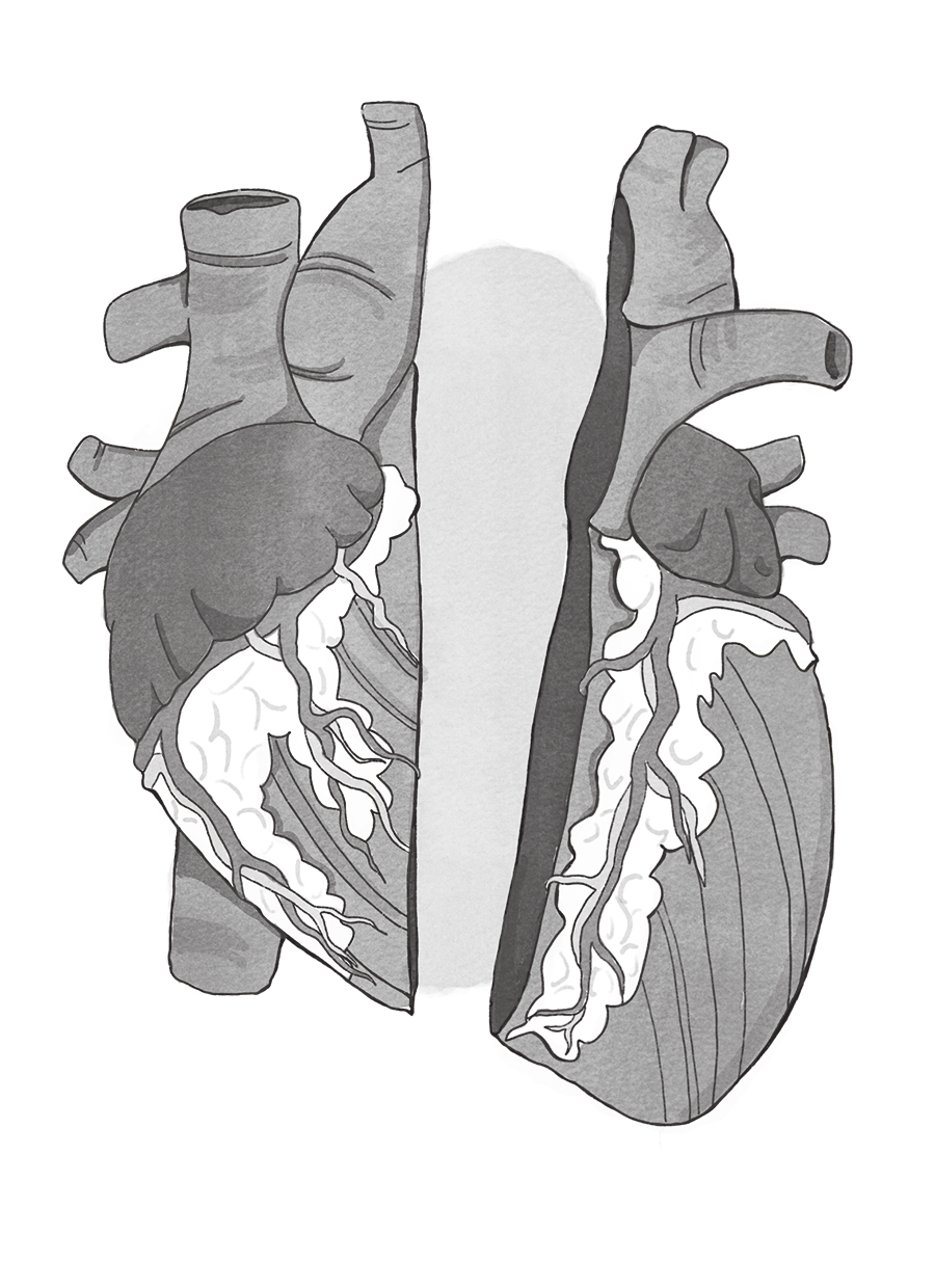 digital greyscale illustration of a heart open in two 