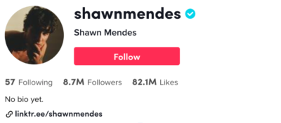 shawn mendes