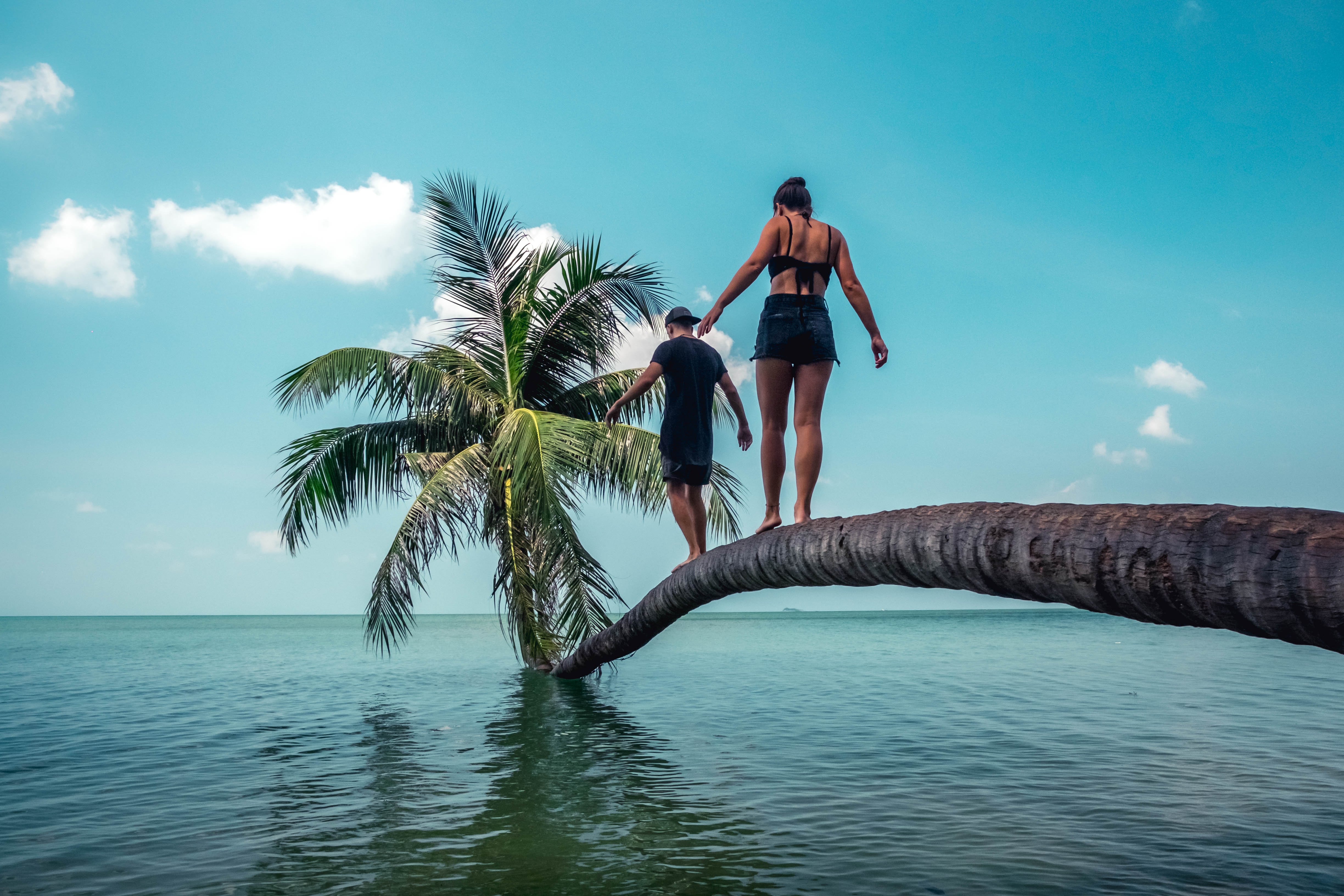 Ein Mann und eine Frau balancieren auf dem Stamm einer Palme über dem Wasser