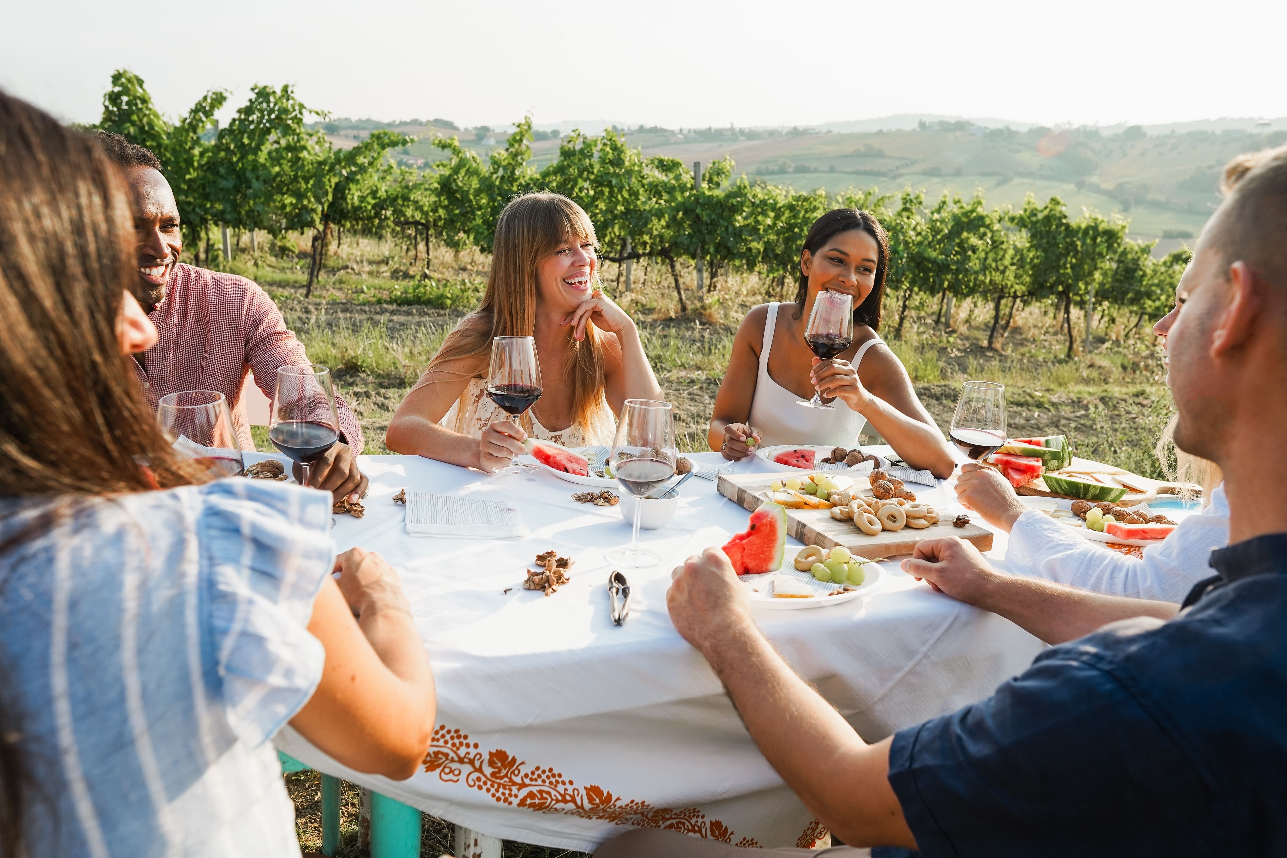 Freundesgruppe beim Essen in den Weinbergen Südafrikas