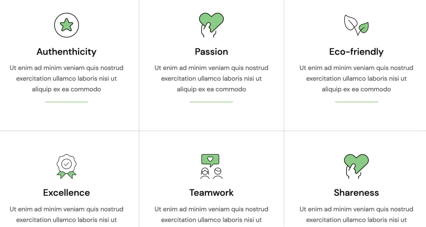 Icons And Graphics - Diet X Webflow Template