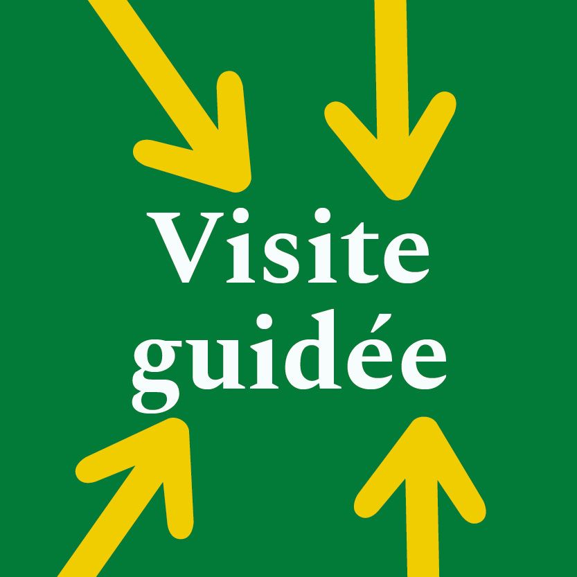 Visites guidées