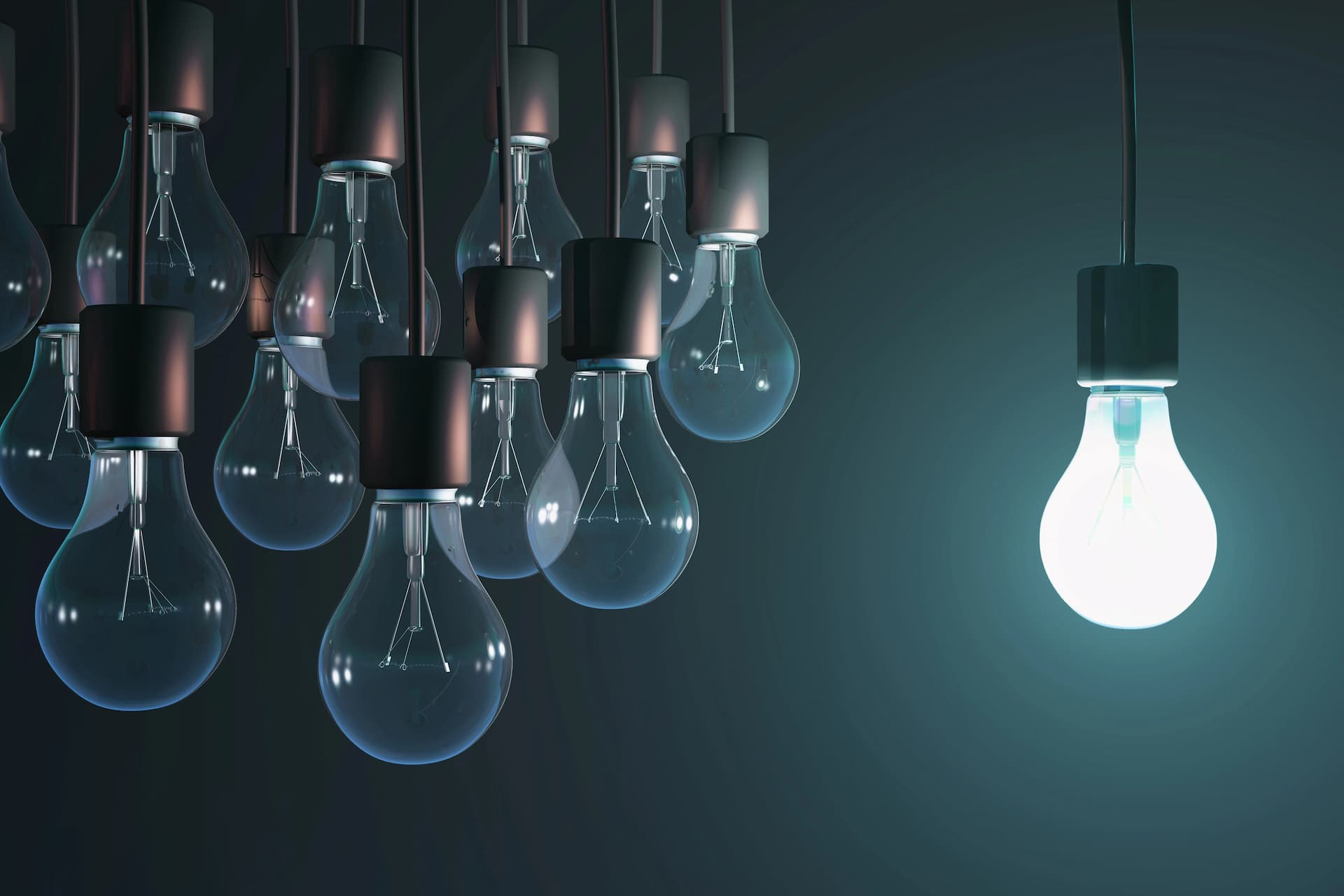 A group of lightbulbs with one illuminated.
