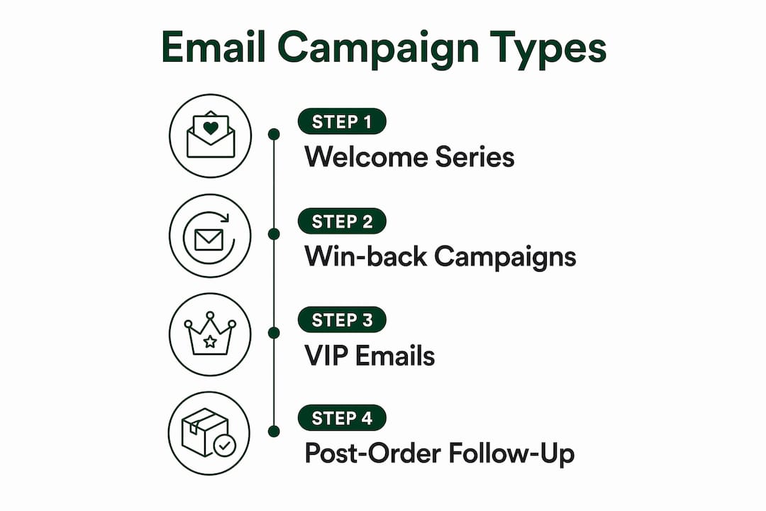 Infographic showing email campaign types steps