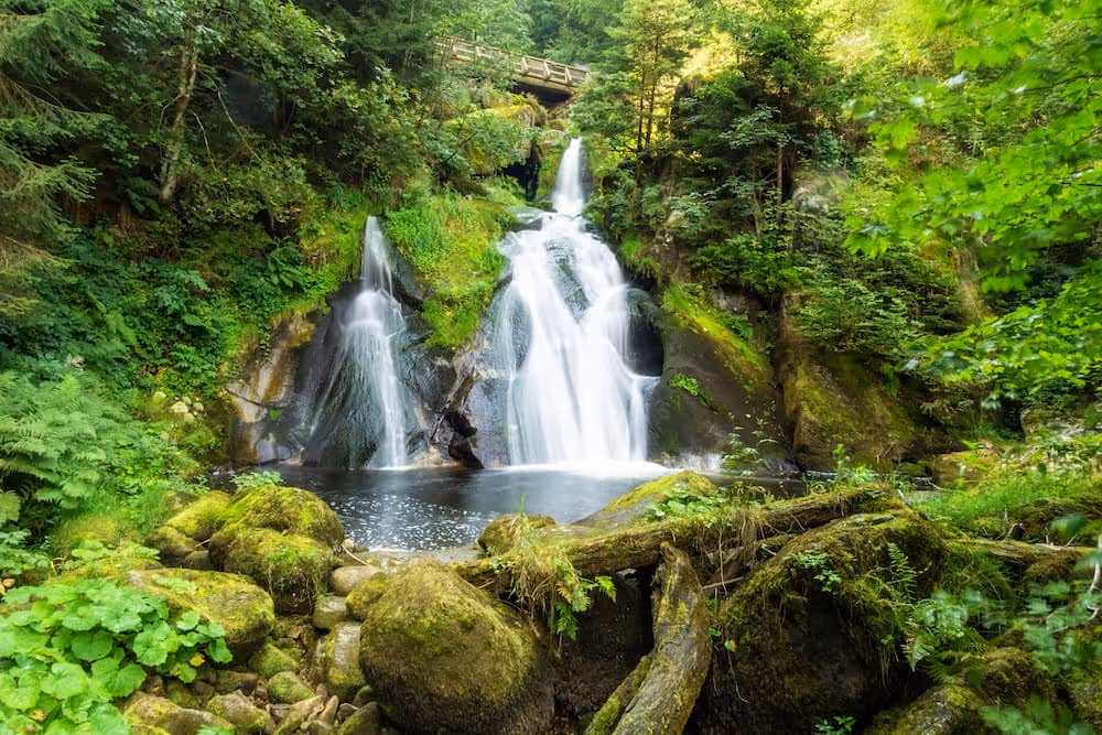 The Black forest: Known for scenic hiking trails and charming villages.