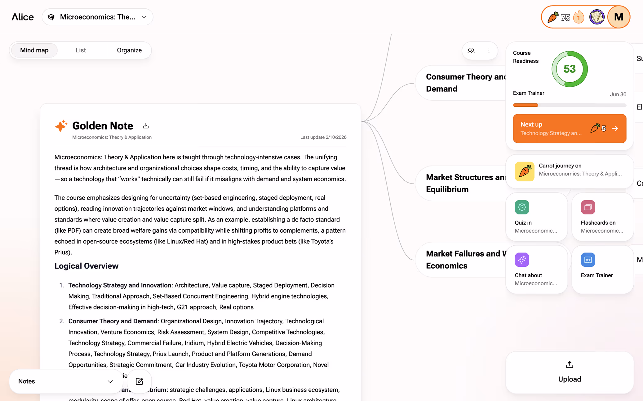 Alice's mindmap course overview