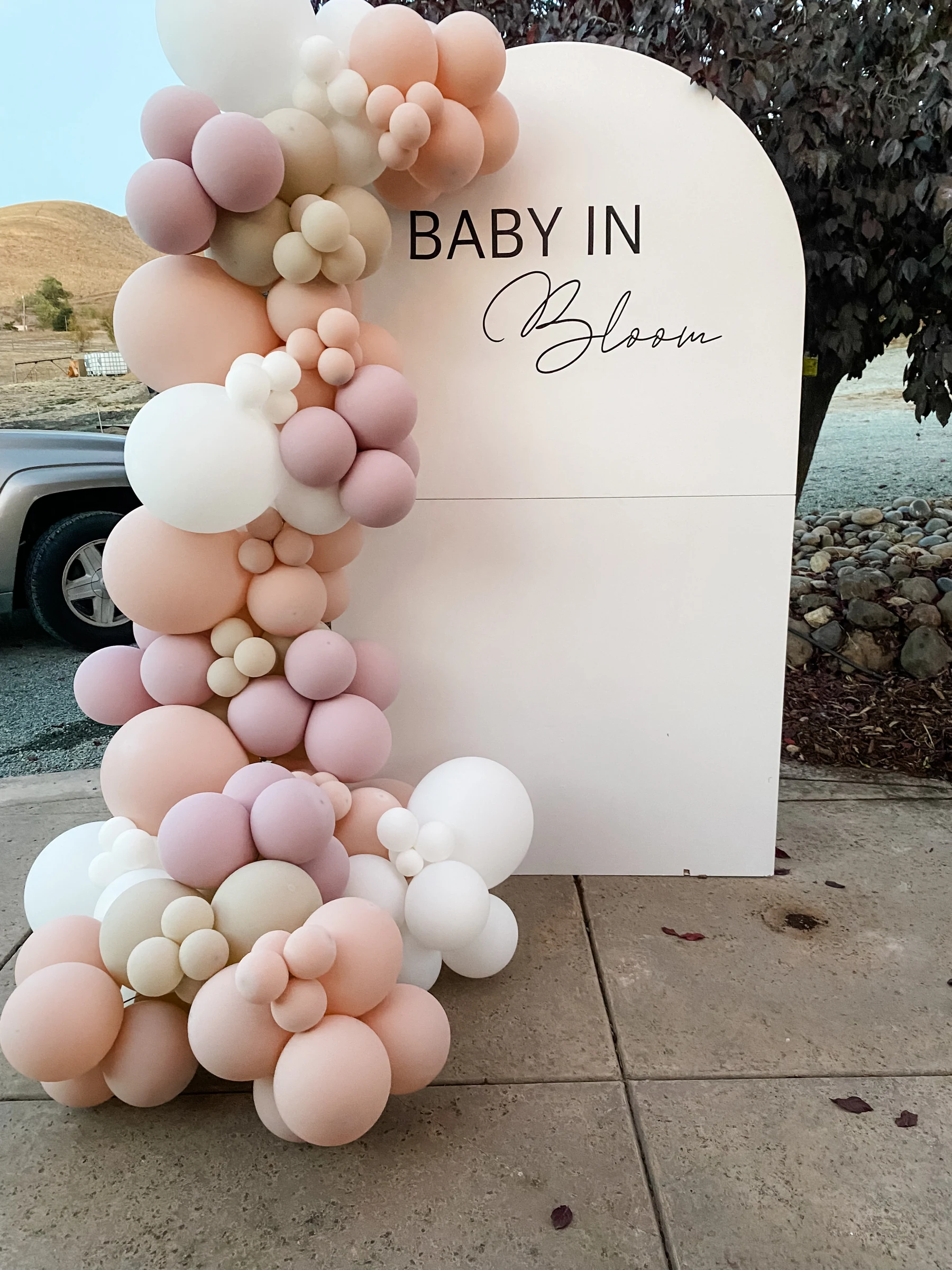 Baby in Bloom outdoor backdrop by Poptastic Parties