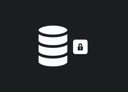 data icon next to a lock