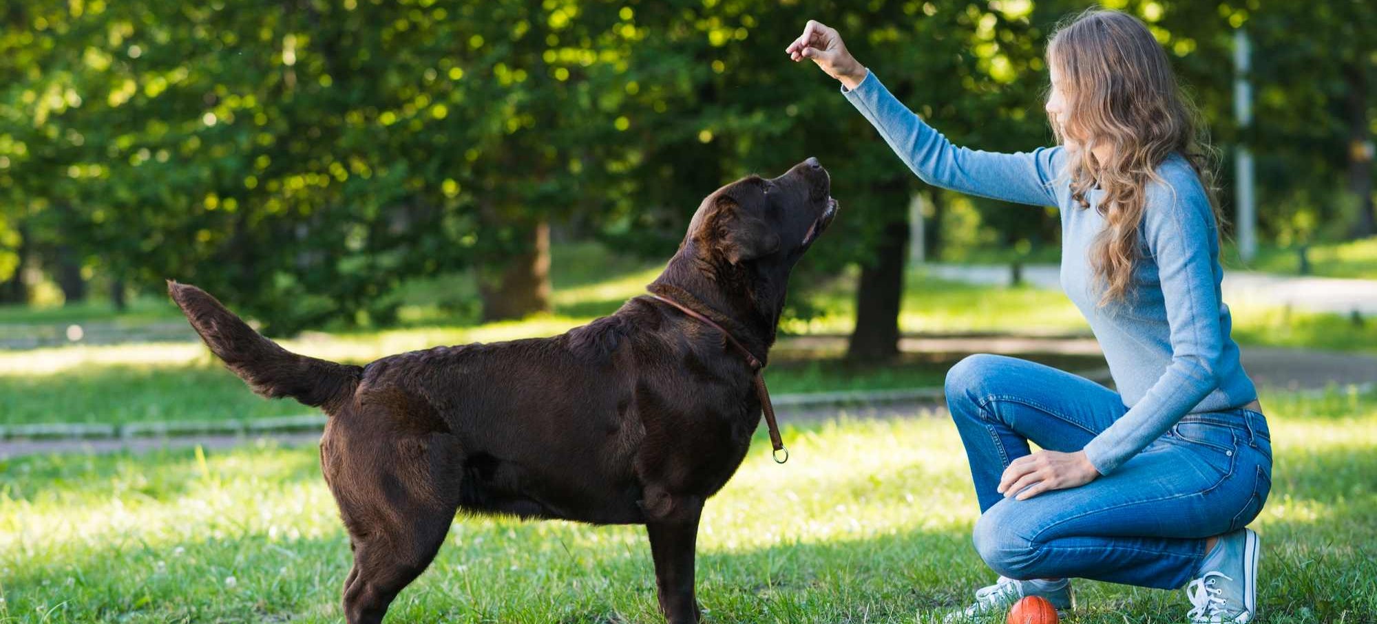woman training dog with treat.
