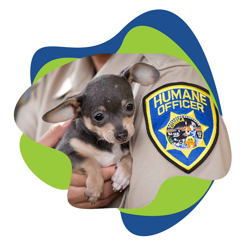 humane officer with dog.