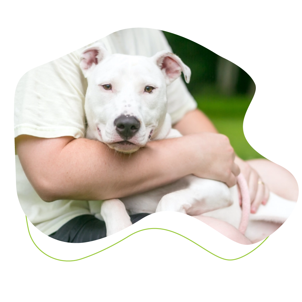 man hugging dog.
