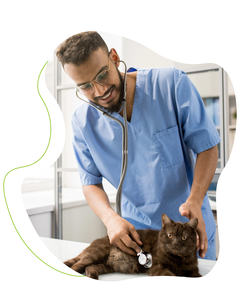 veterinarian attending cat with stethoscope.