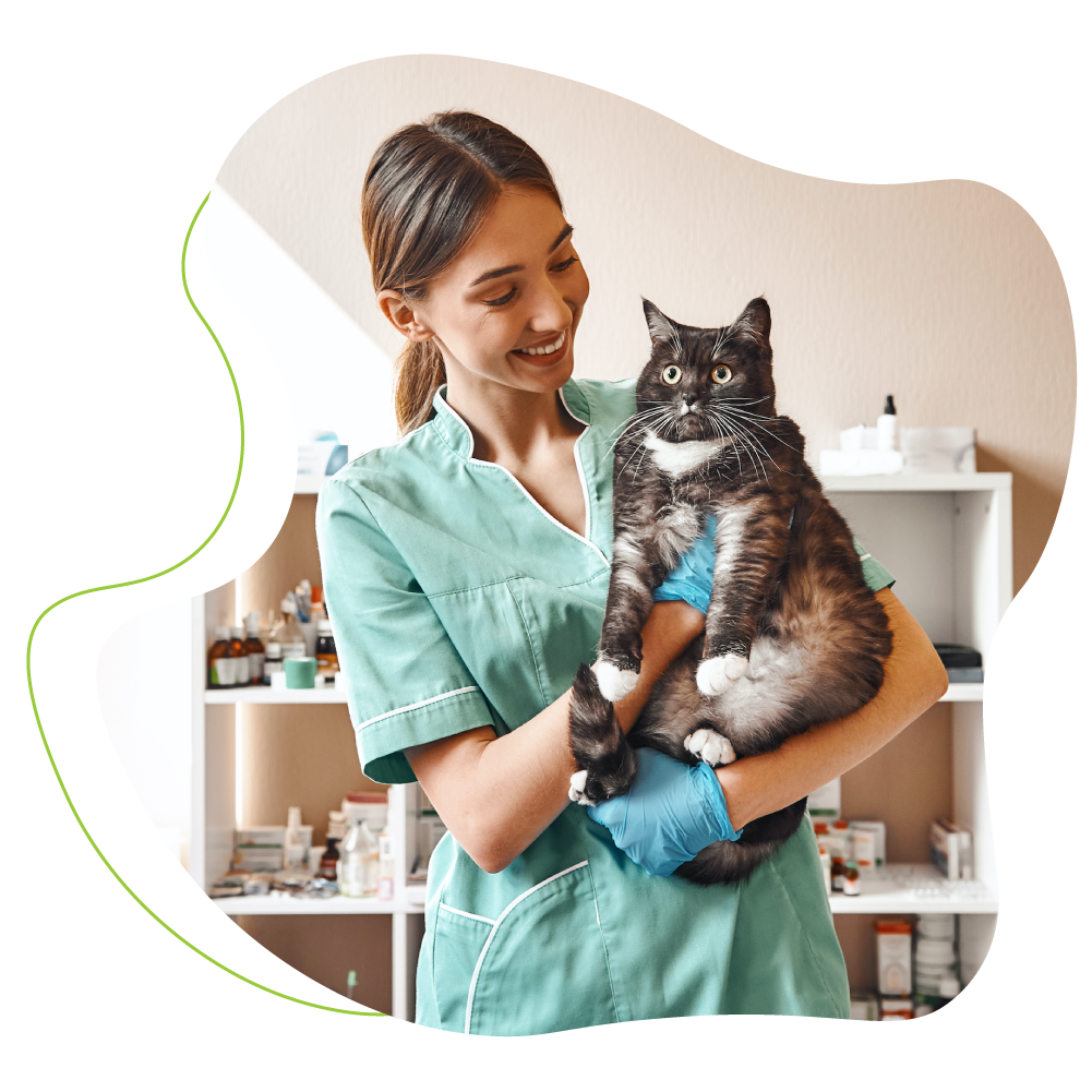 veterinarian holding cat.