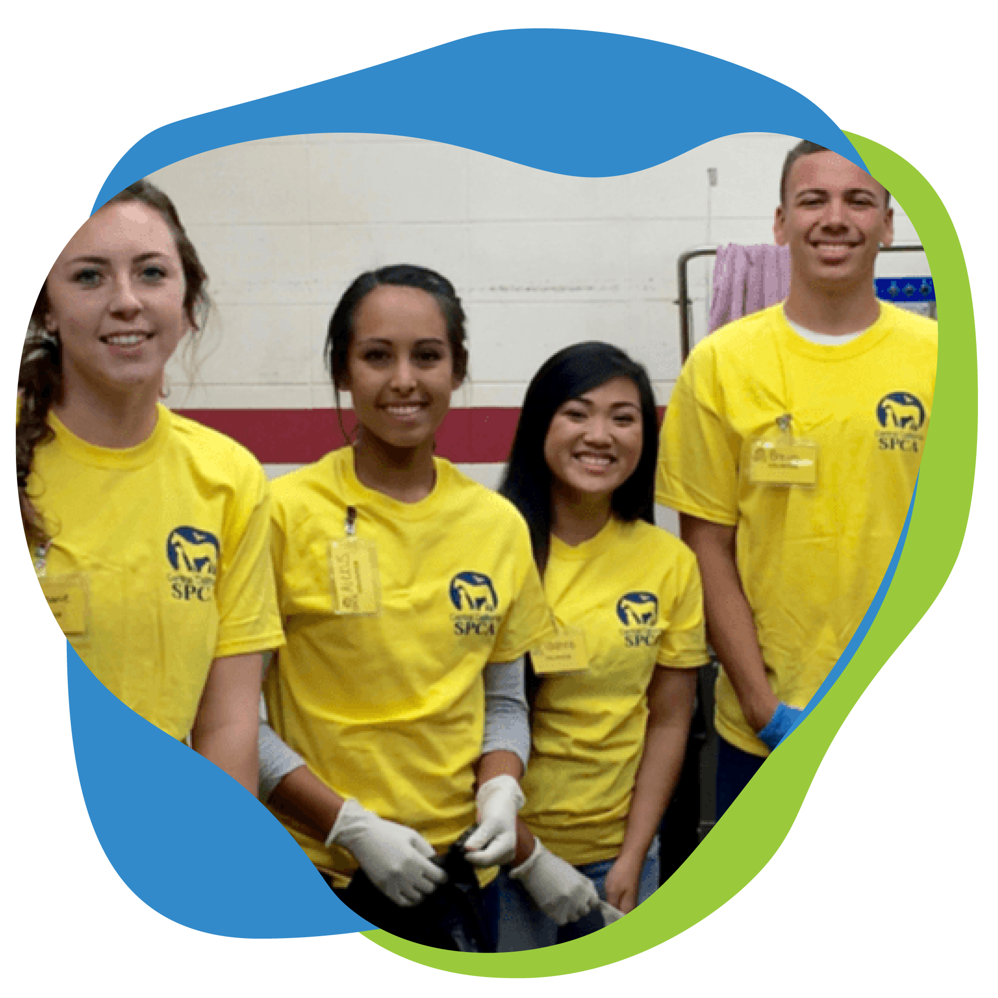 volunteers at ccspca.