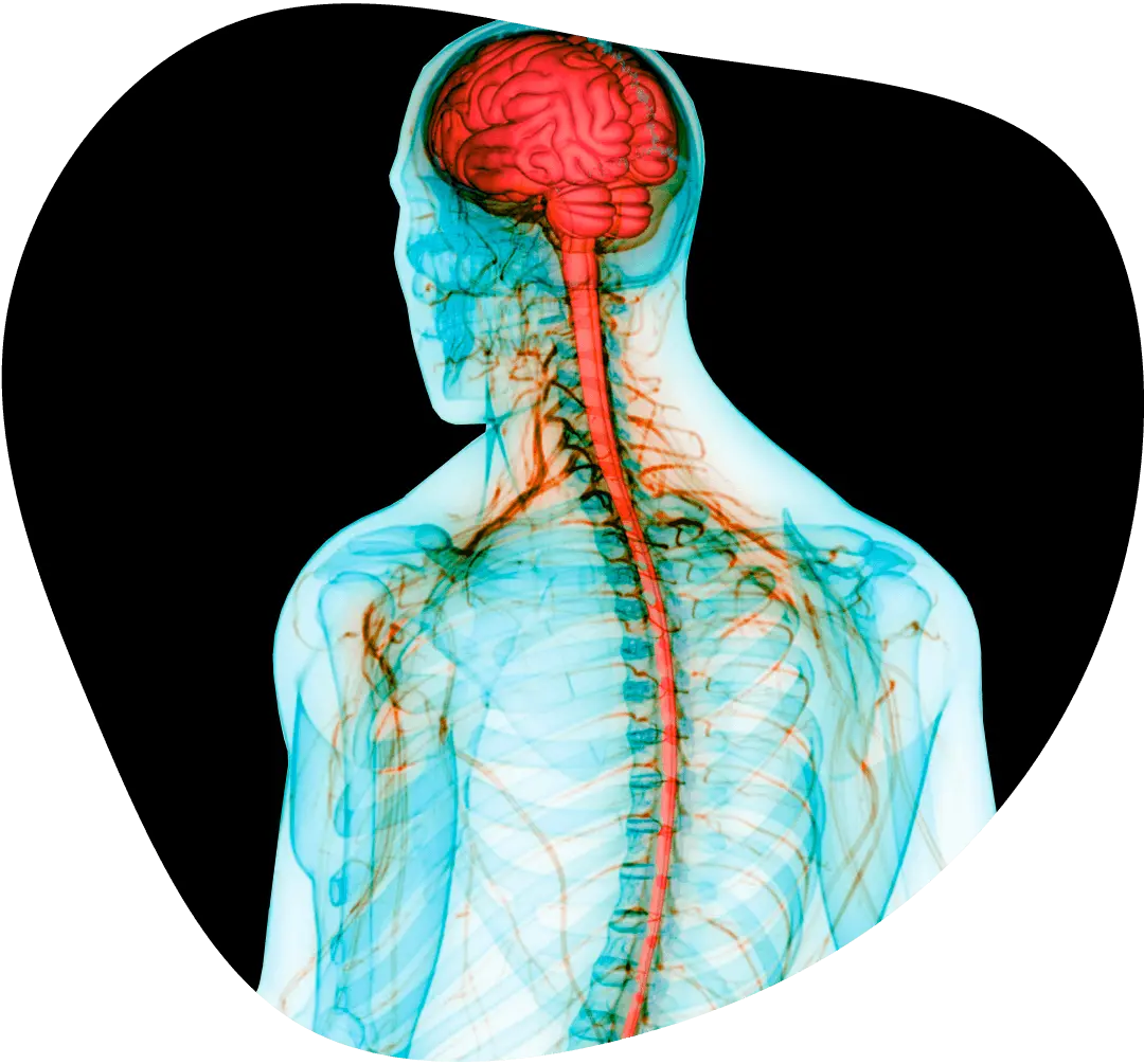 CNS clinical trials role in neuroscience research and Central Nervous System drug development