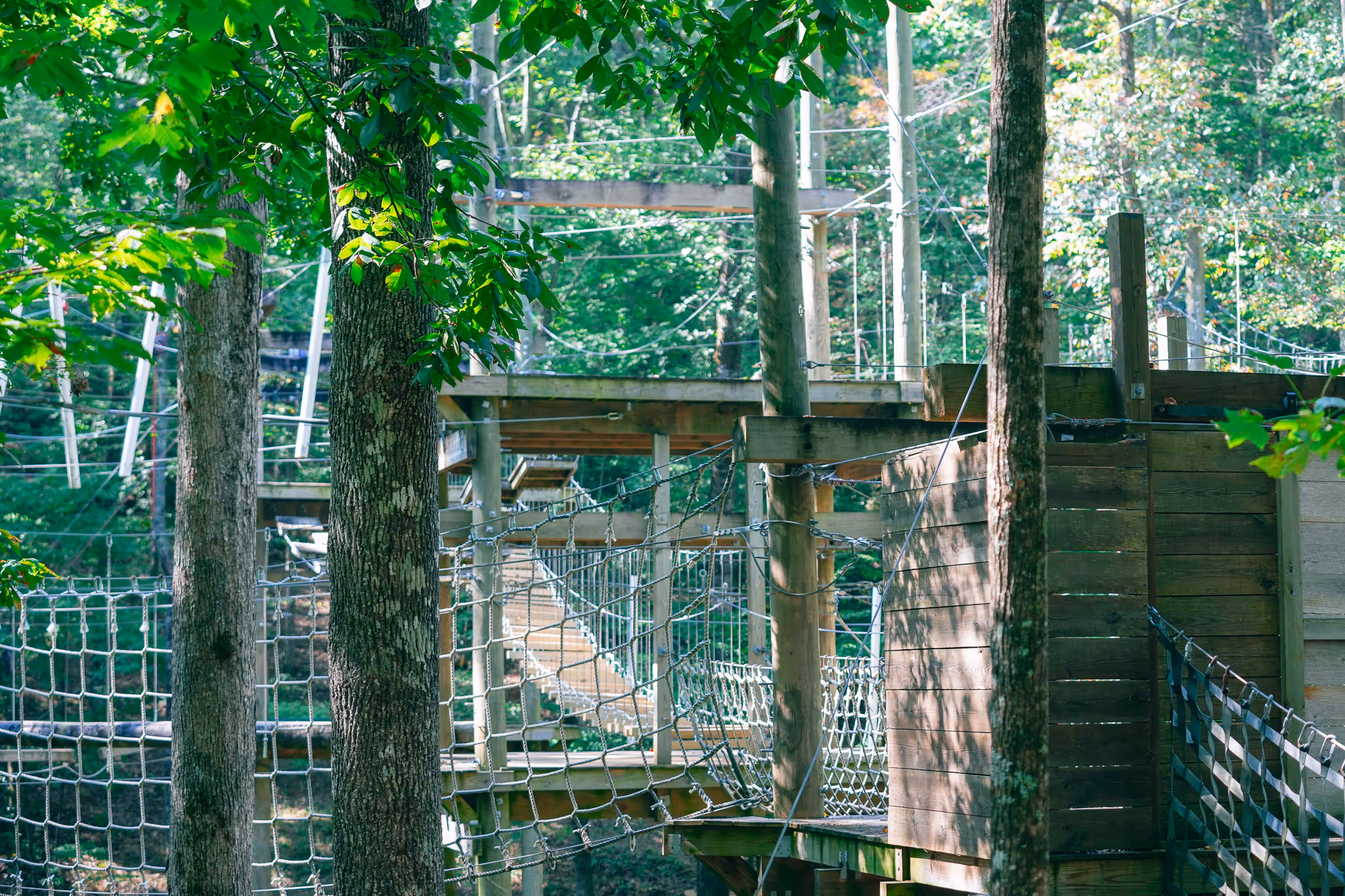 Rope and wooden obstacle course platforms in a green forest adventure park.