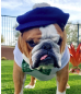 Bunker B. Boysen-Becker, The Club's original mascot