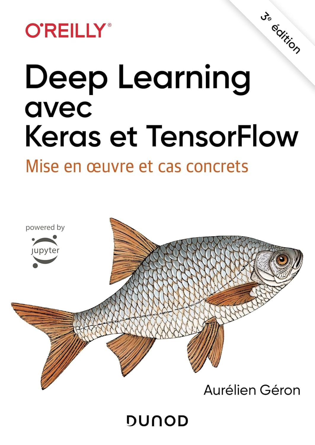 Deep Learning avec Keras et TensorFlow - 3e éd.: Mise en oeuvre et cas ...