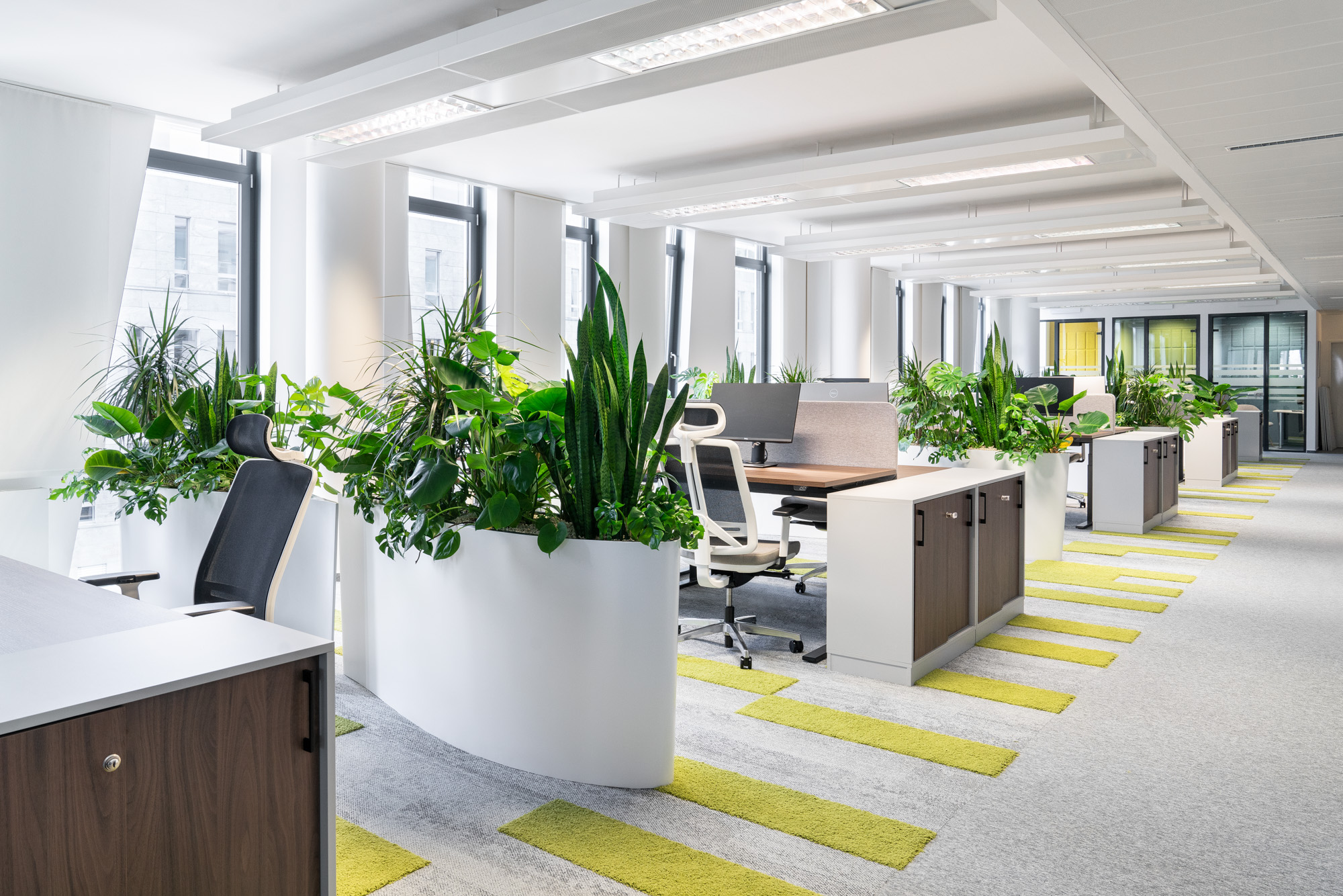Modern office with designer furniture