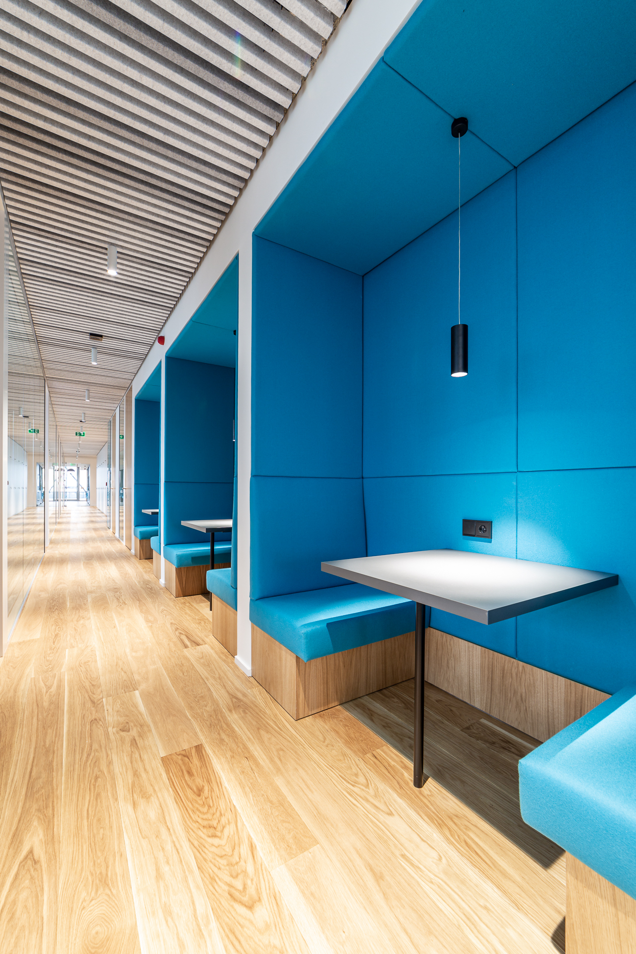 Modern office with designer furniture