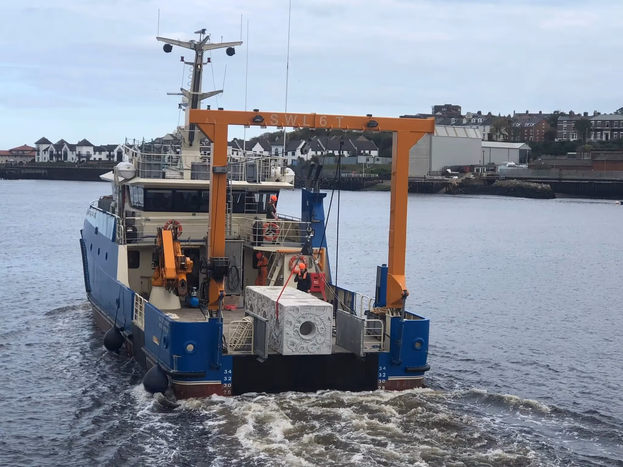 MJM Supports ZSL’s Groundbreaking North Sea Oyster Reef Restoration