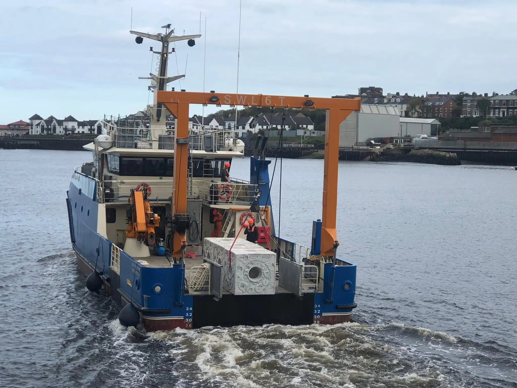 MJM Supports ZSL’s Groundbreaking North Sea Oyster Reef Restoration