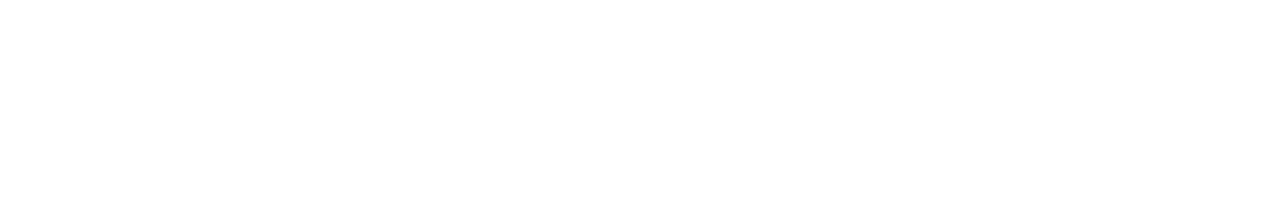 Maxion