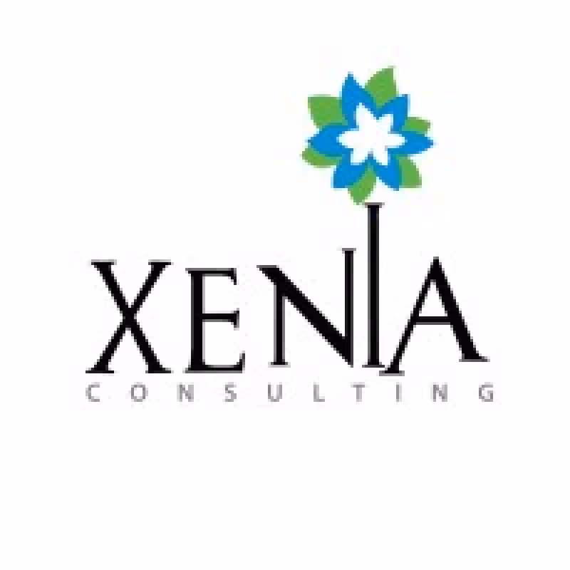 Xenia Consulting logo with a stylized flower in blue and green above the letter I.