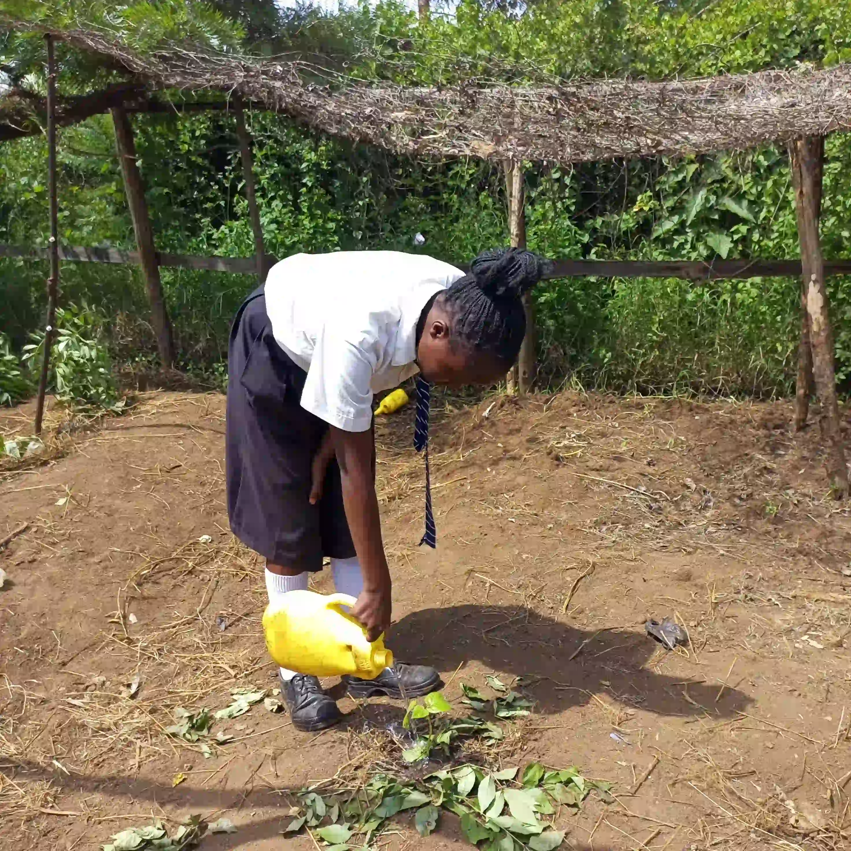 Estar watering a plant at the Hall Mead Academy garden.