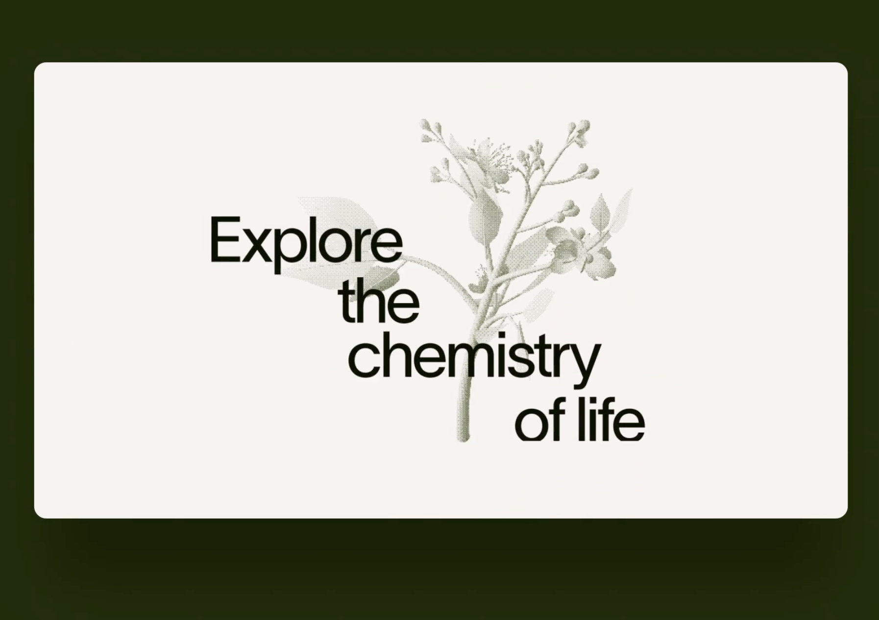 Brightter's Client Project: Branding and Web Design for a modern biotech company - Image3