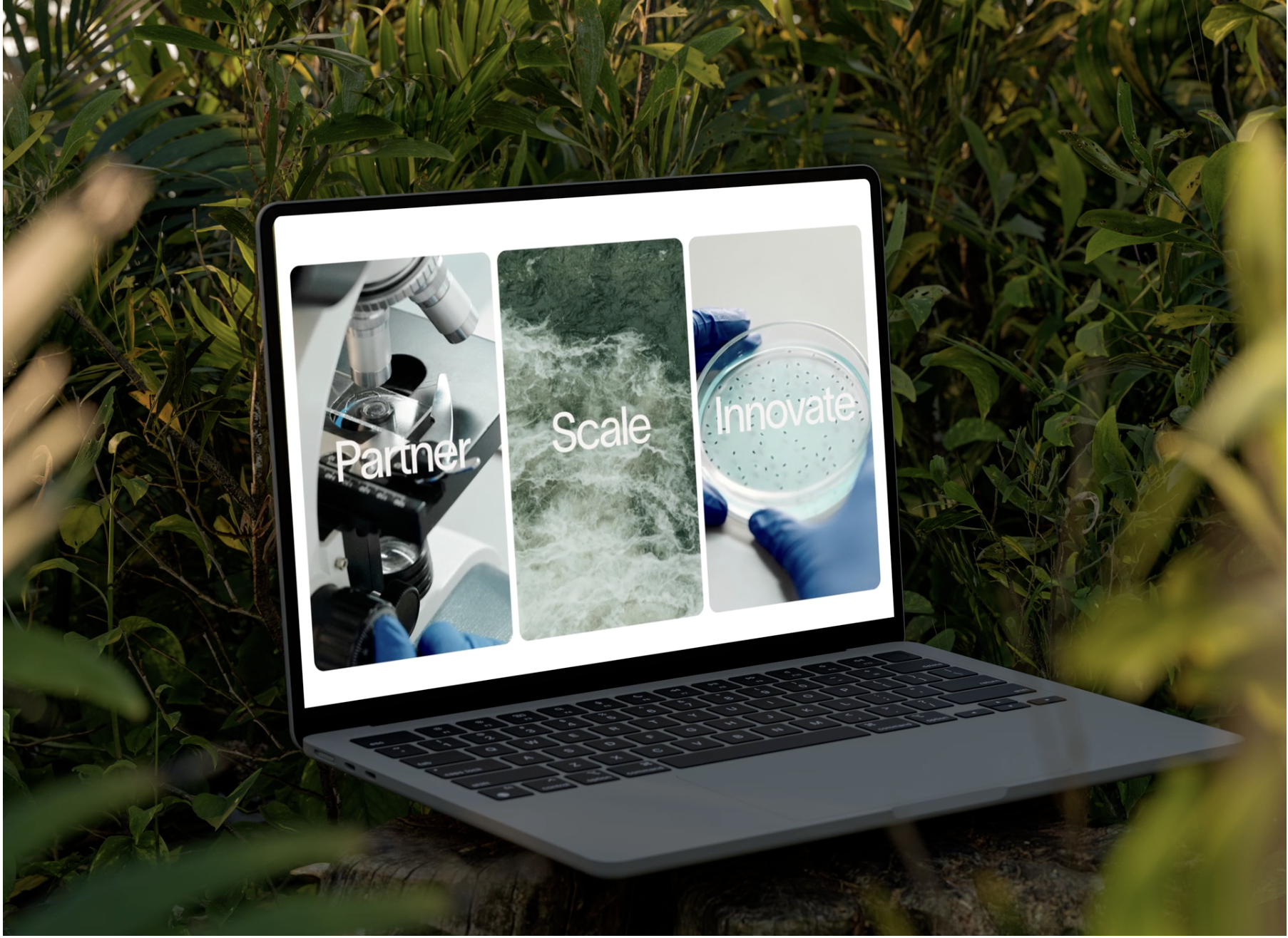 Brightter's Client Project: Branding and Web Design for a modern biotech company - Image7