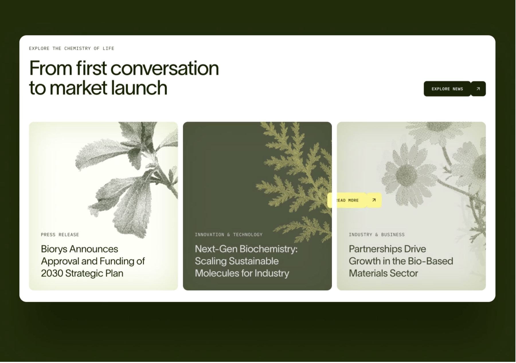 Brightter's Client Project: Branding and Web Design for a modern biotech company - Image2