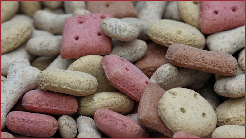 Pet Food Manufacturing: What You Need To Succeed