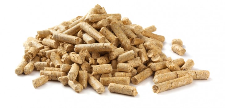 Conveying Biomass and Waste