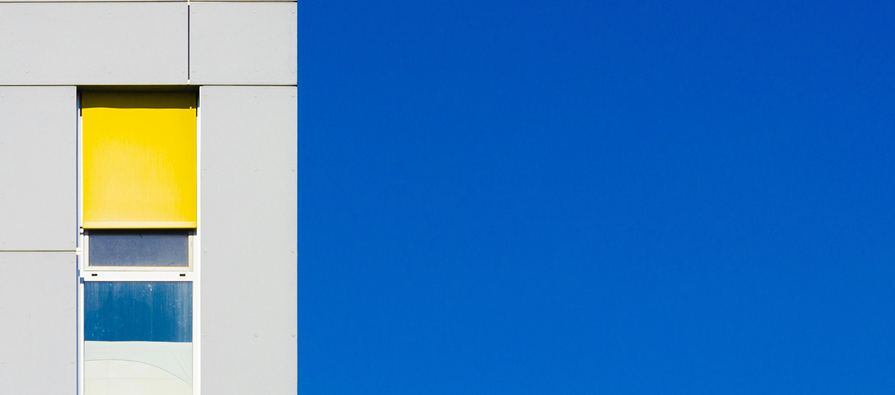 Vom Wunschberuf zum nächsten Step
