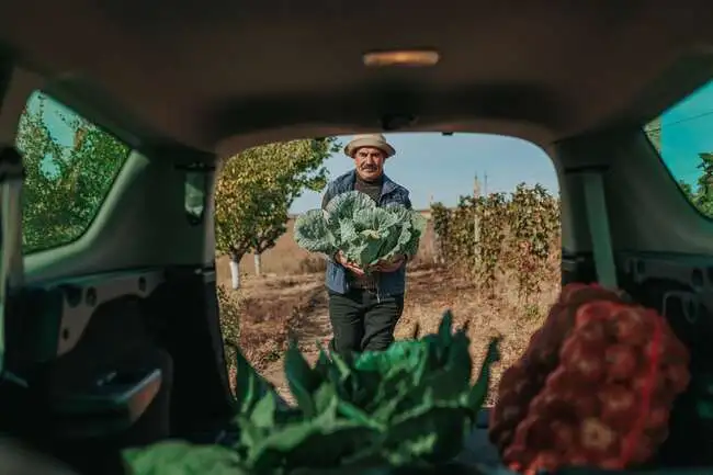 Optimiser le temps et la fréquence de remplissage de ses casiers réfrigérés alimentaires permet de rentabiliser au maximum son business.