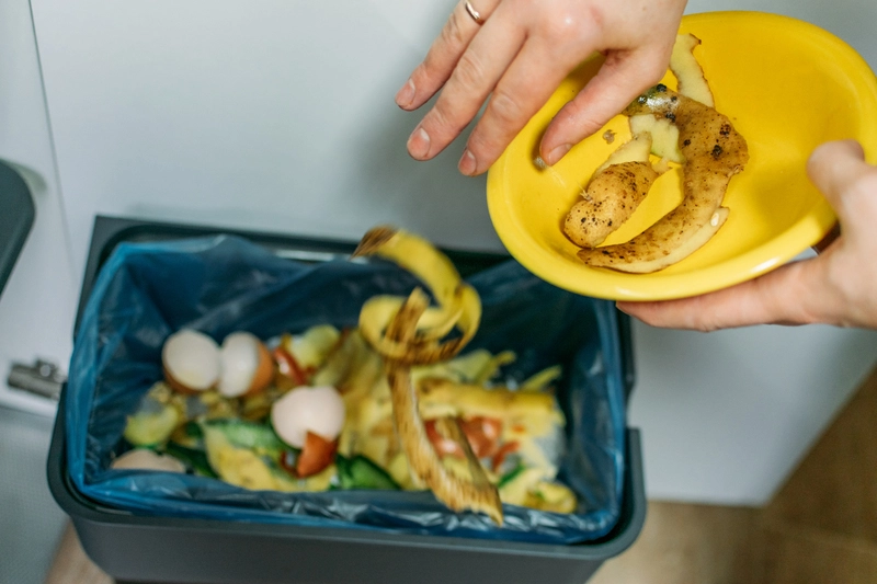 Aliments frais jetés à la poubelle