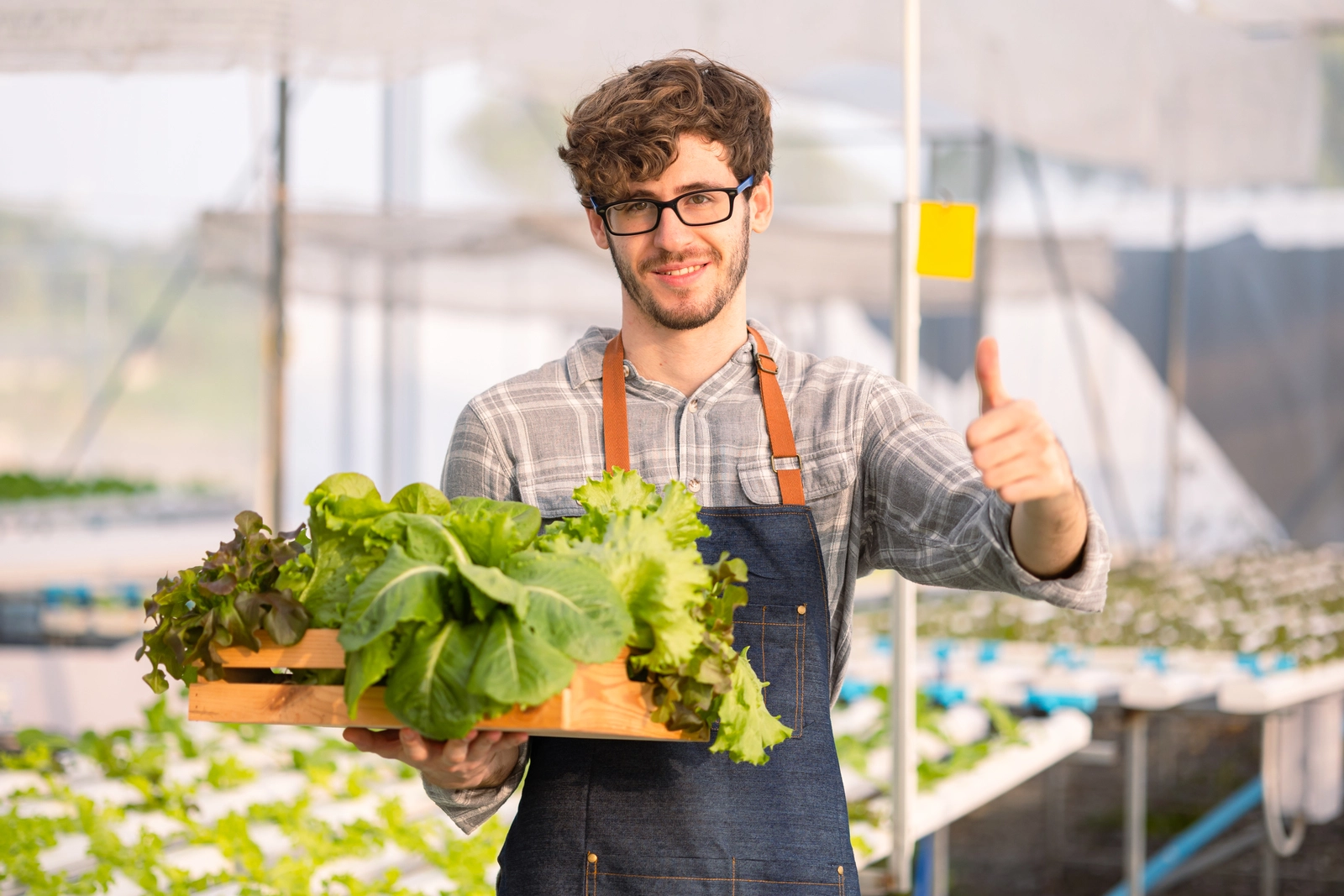 Maraîchers, producteurs et agriculteurs, équipez votre exploitation d’un distributeur automatique de légumes, durable et rentable pour vendre vos produits 24/7.