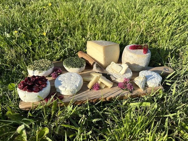 Assortiment de fromages produits par la Ferme de la Moricière, posés sur l'herbe
