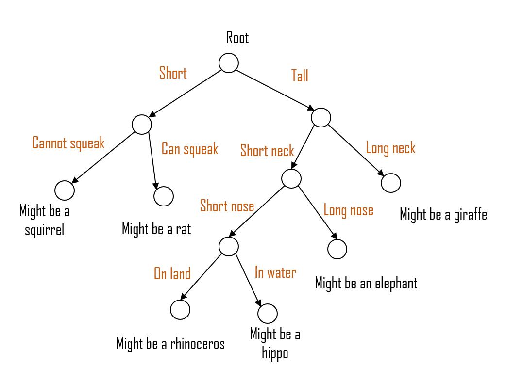 random forest in exploratory data analysis churn model