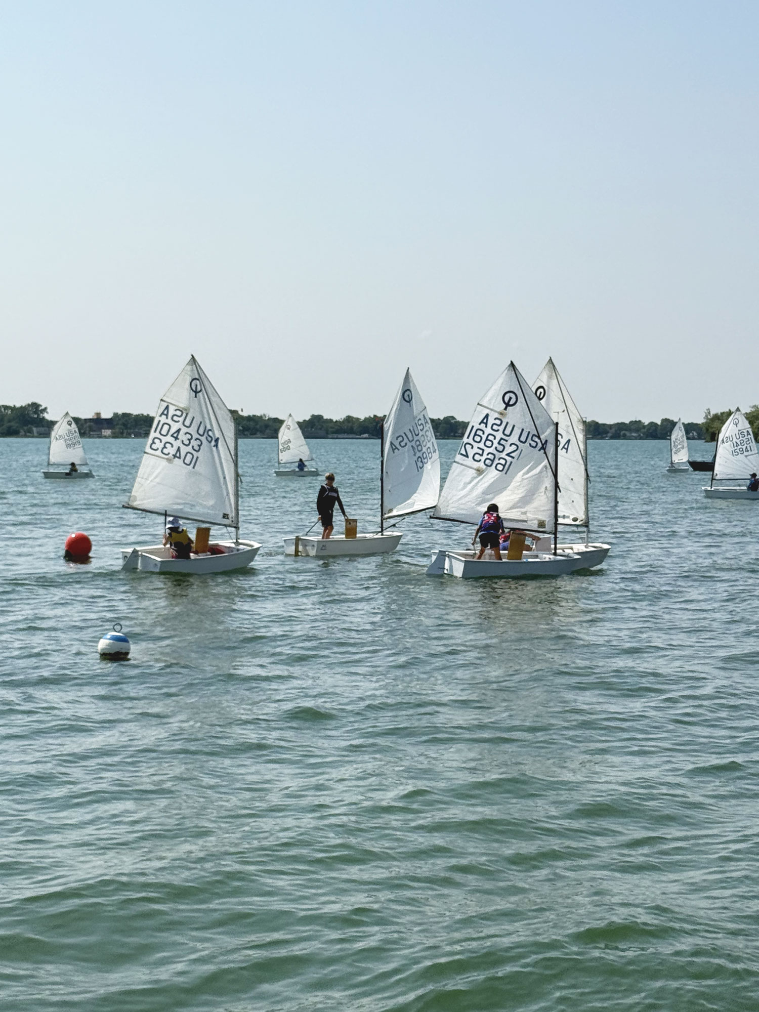 Young kids sailing in a regatta