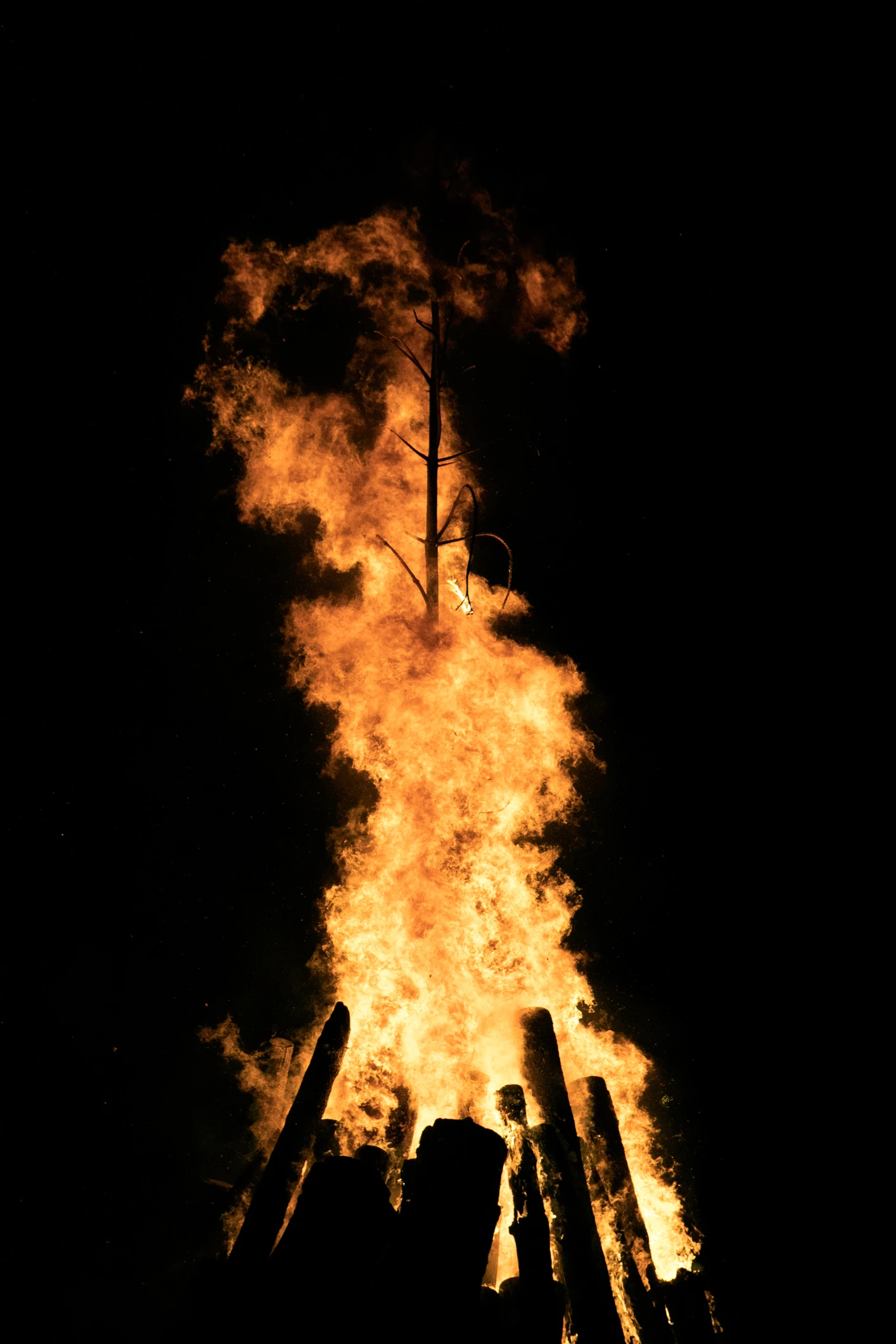 laetizia-debain-glissements-feu-corse-art